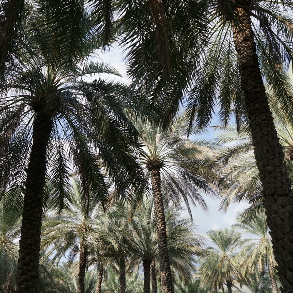 OMAN